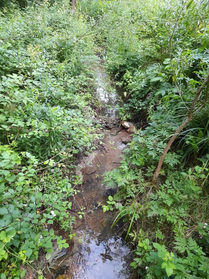 Вилла Peace Creek Слуни Экстерьер фото