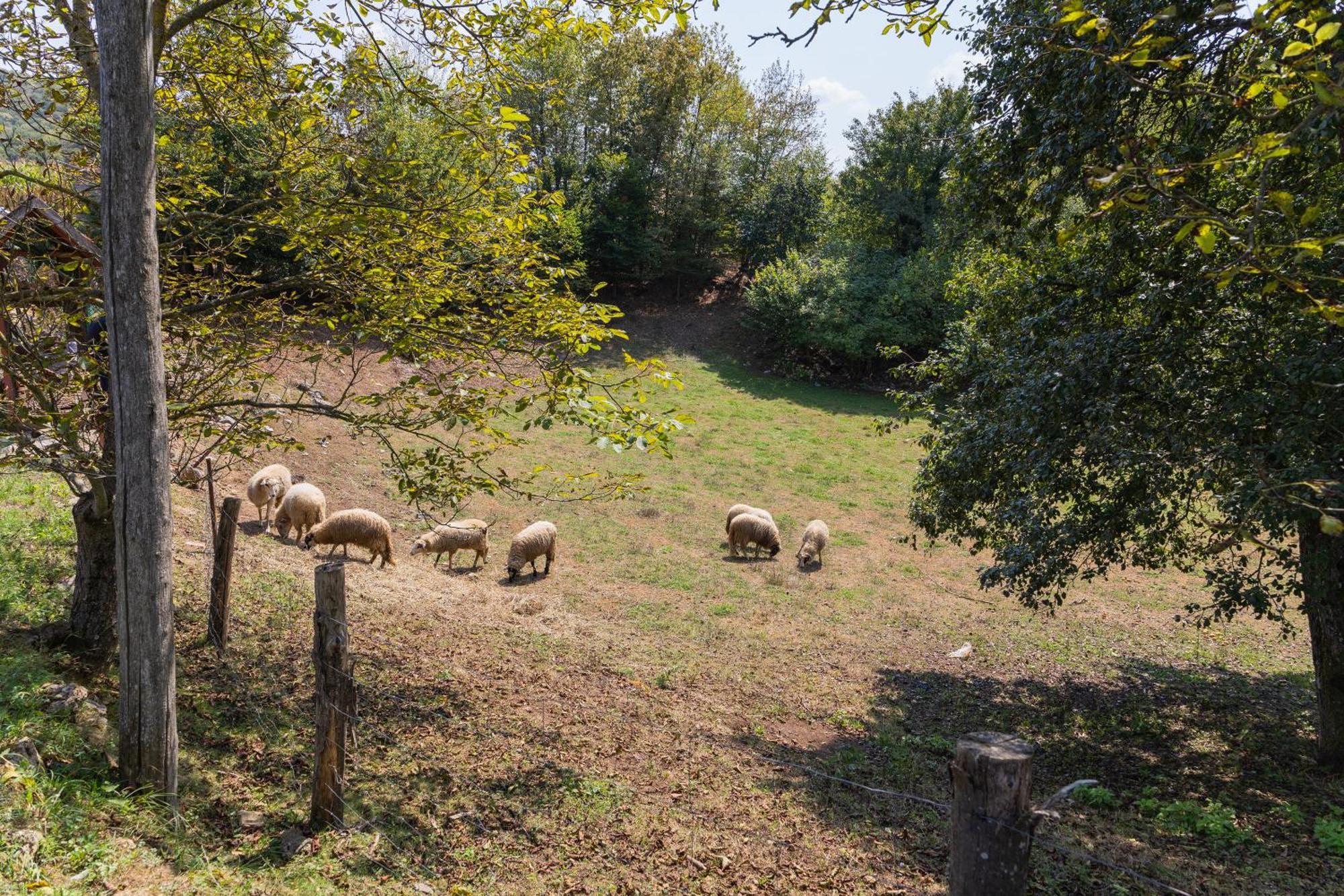 Вилла Peace Creek Слуни Экстерьер фото